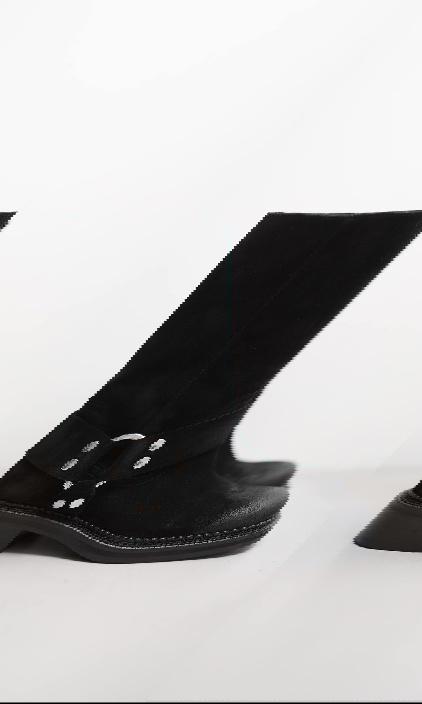 ALORA von Kennel & Schmenger