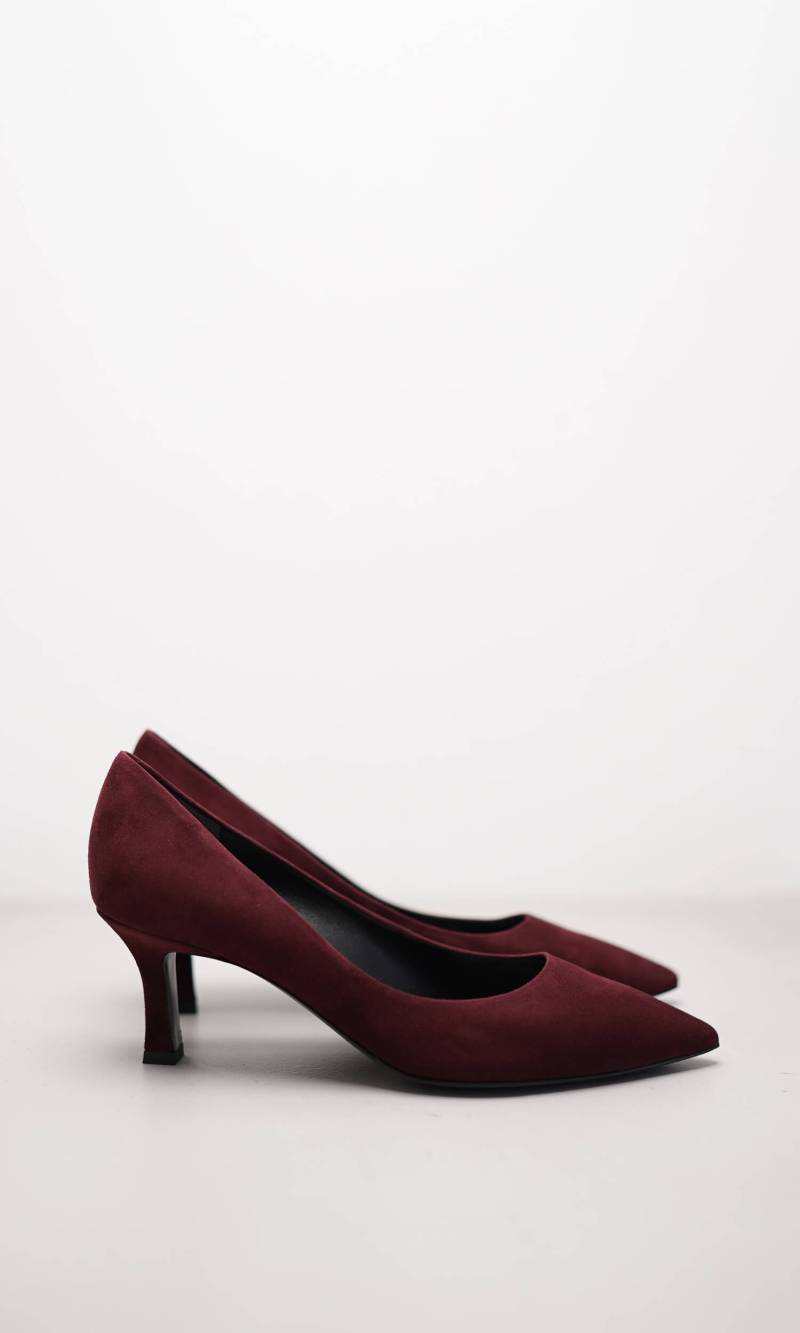 ELLIE von Kennel & Schmenger