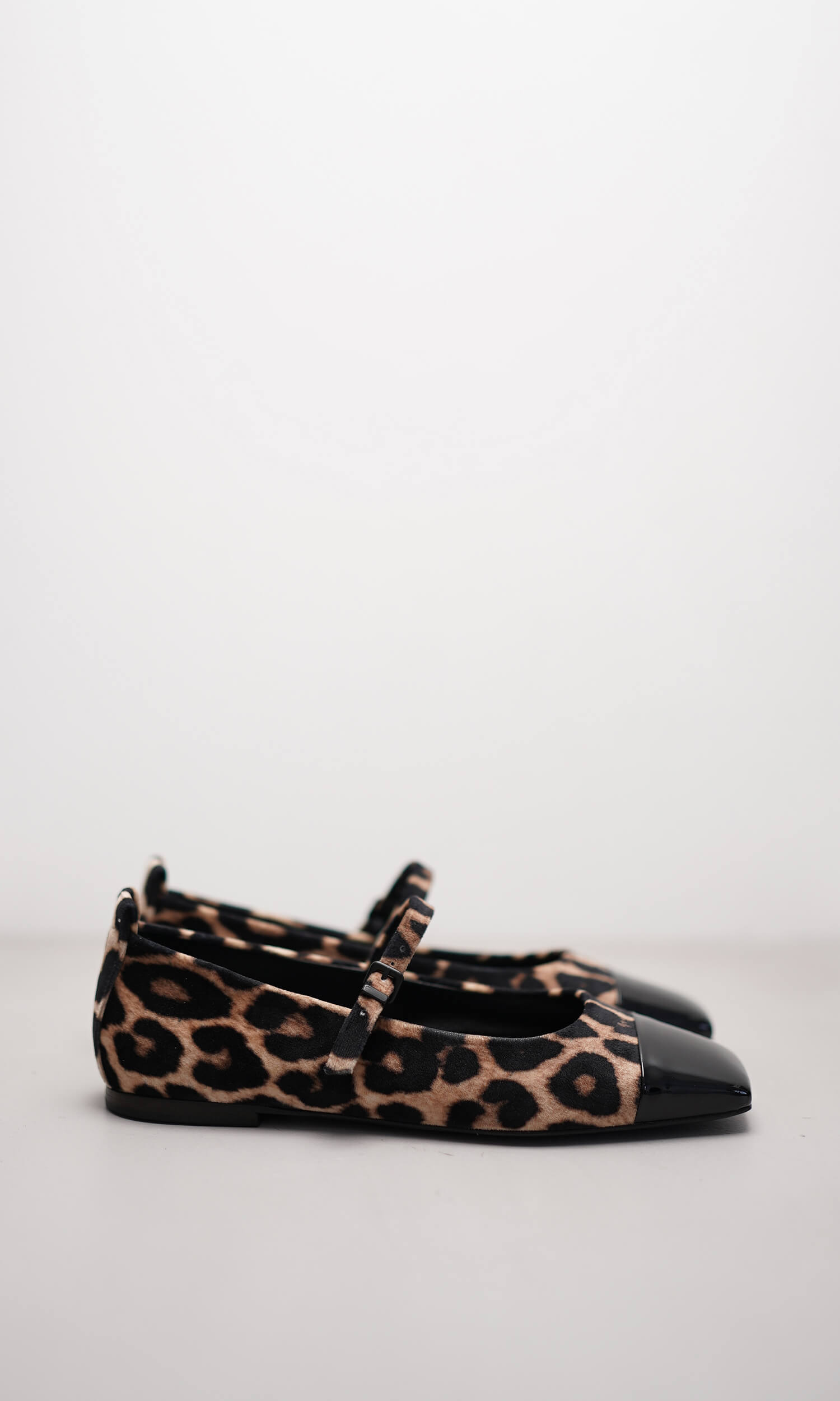 LEILA von Kennel & Schmenger