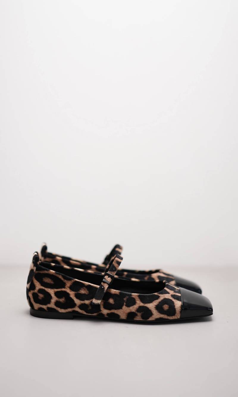 LEILA von Kennel & Schmenger