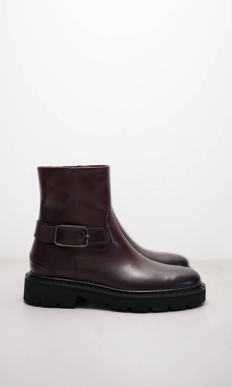 MOLLY von Kennel & Schmenger