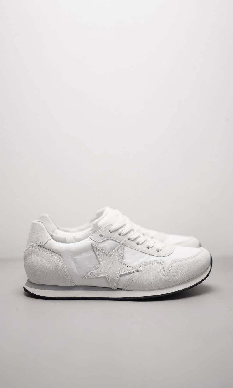 TRAINER MAN von Kennel & Schmenger