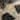 Kenneth Cole Reaction Damen Maxi Ballerinas, Leopard, 42 EU von Kenneth Cole REACTION