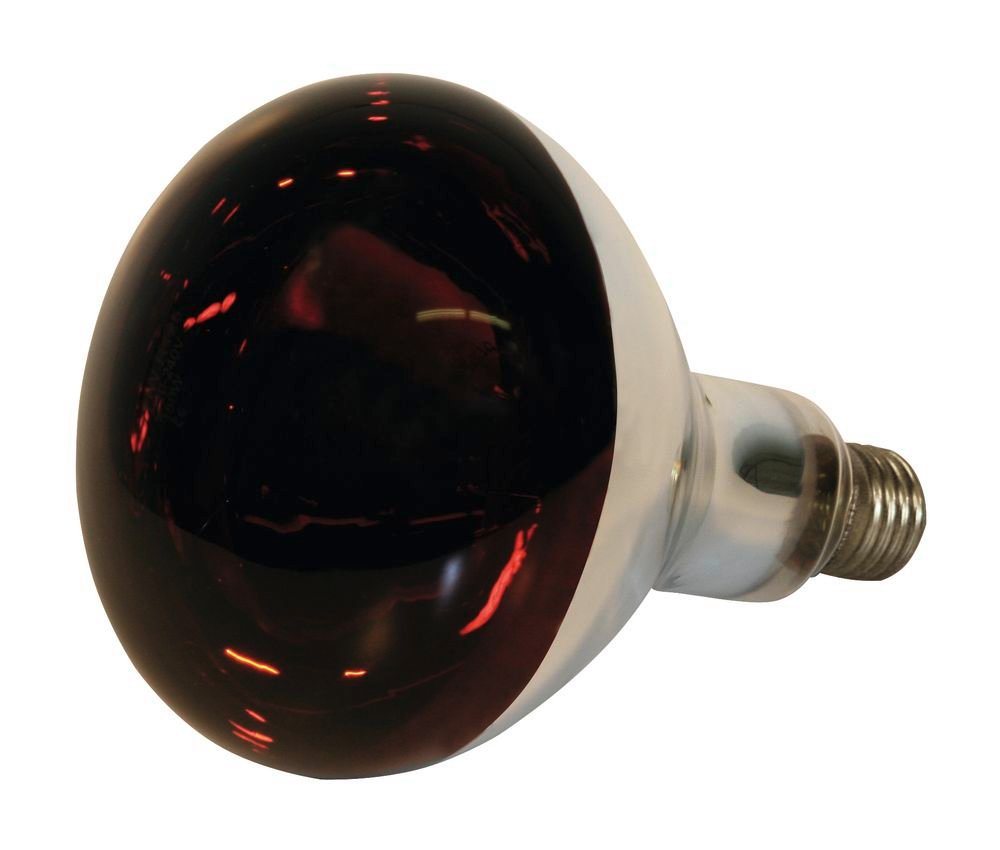 Kerbl Infrarotlampe 250 W Hartglas, rot Wärmelampe für Ferkel / Küken von Kerbl