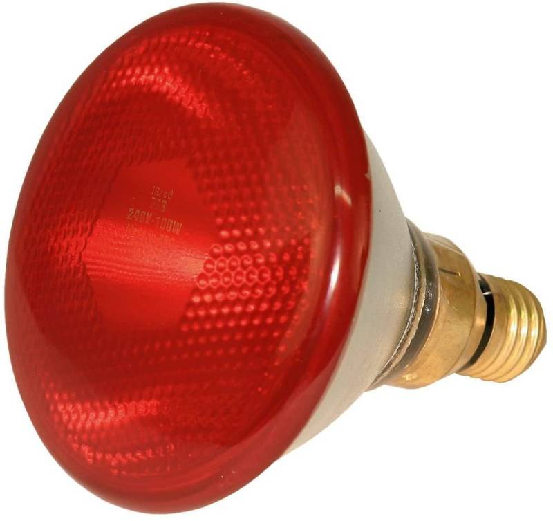 Kerbl Infrarotlampe Kerbl Infrarotlampe Sparlampe rot (175 W, WŠrmelampe fŸr Schweine + von Kerbl