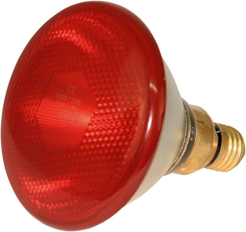 Kerbl Infrarotlampe von Kerbl
