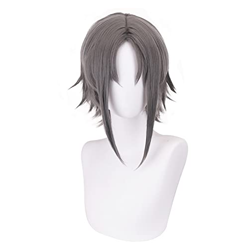 Cosplay Perücke Reverse Grey Kurzhaar Anime for Männer und Frauen Modedekoration von KiHene