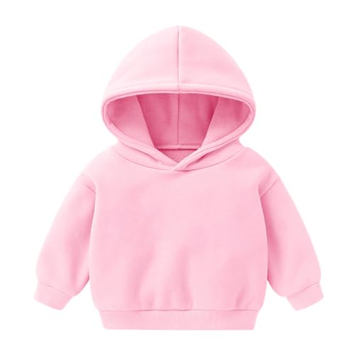 Baby Mädchen Jungen Kapuzenpullover - Kinder Junge Mädchen Hoodies Kleinkind Baby Mädchen Jungen Langarm Sweatshirt Lässige Pullover Bluse Tops Einfarbig Sweatshirt Kapuzenpulli 0-6 (Pink, 3-4 Years) von Kielsjajd