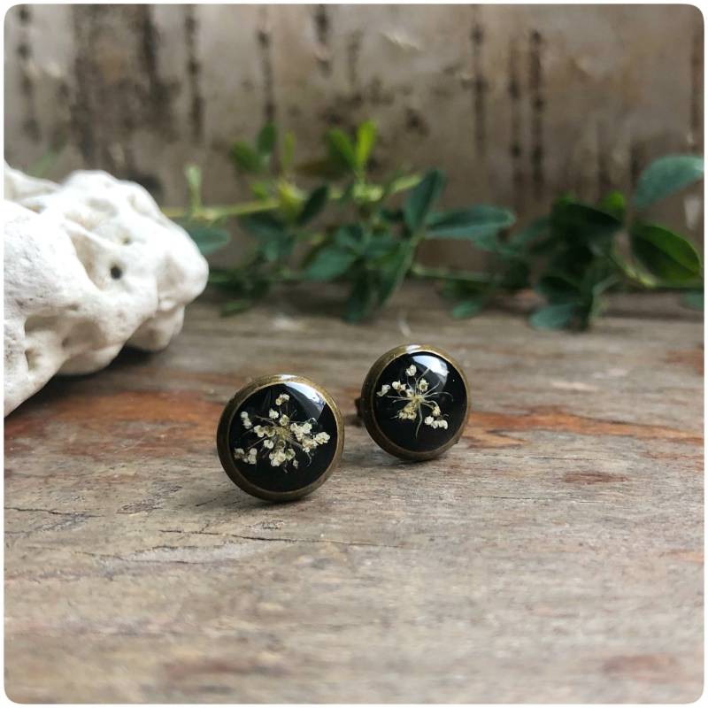 Kleine Schwarze Ohrstecker | Echte Wilde Möhre Blumen Je Ca. 10 Mm Durchmesser Gr.s Bronzefarben von Kiezelfen