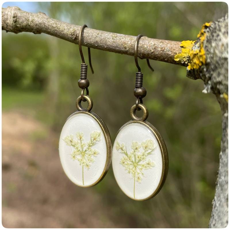 Weiße Ohrhänger | Ovale Form Echte Wilde Möhre Blüten Bronzefarben von Kiezelfen