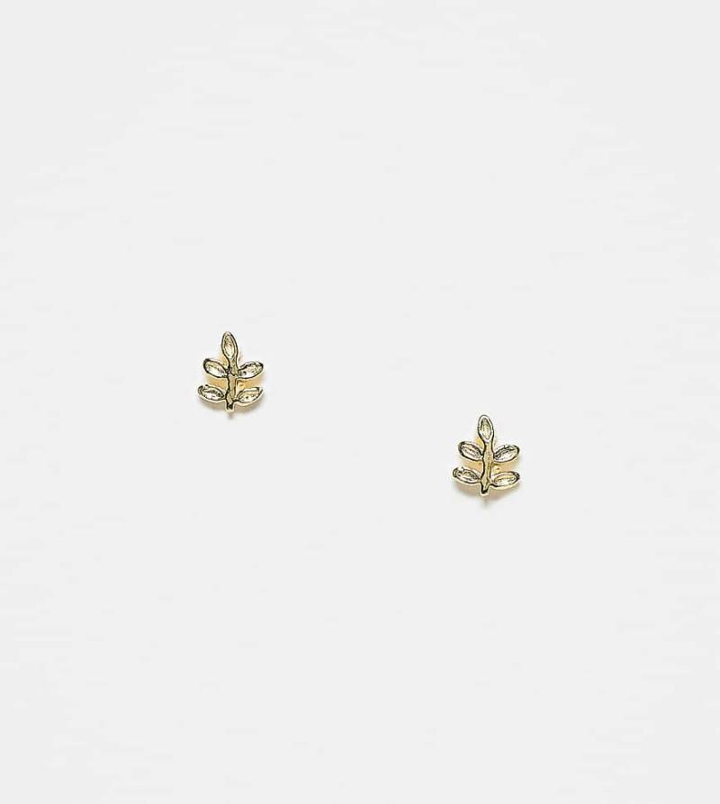 Kingsley Ryan - Vergoldete Ohrstecker mit zierlichem Blattdesign-Goldfarben von Kingsley Ryan