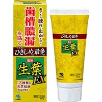 Kiribai - Fresh Leaf EX Toothpaste 100g von Kiribai