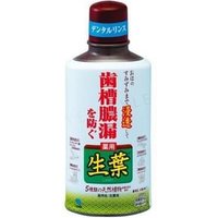 Kiribai - Fresh Leaf Liquid 330ml von Kiribai