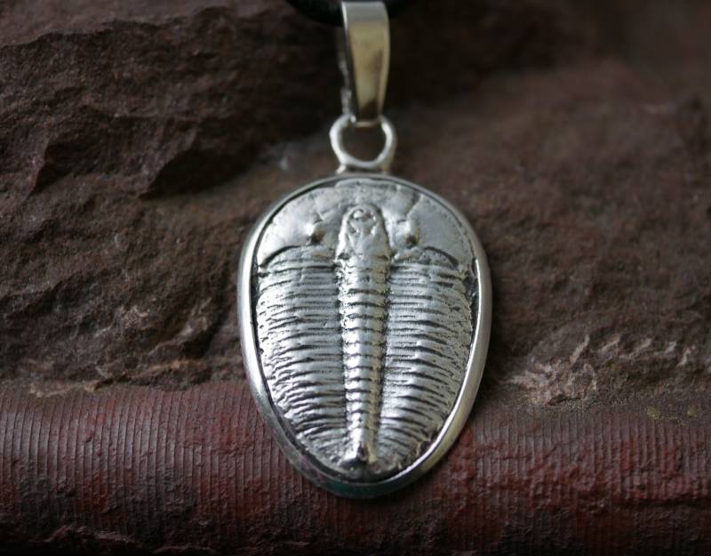 Trilobit-Anhänger Aus Silber Fossilienschmuck von AtelierKirkara