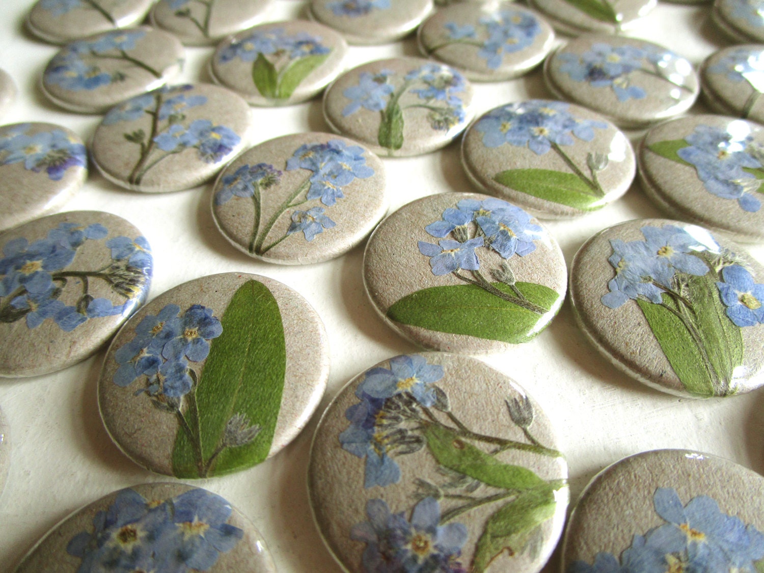 Button Oder Magnet, Vergissmeinnicht Button Oder Magnet, Vergissmeinnicht von KirschbluetenTsunami
