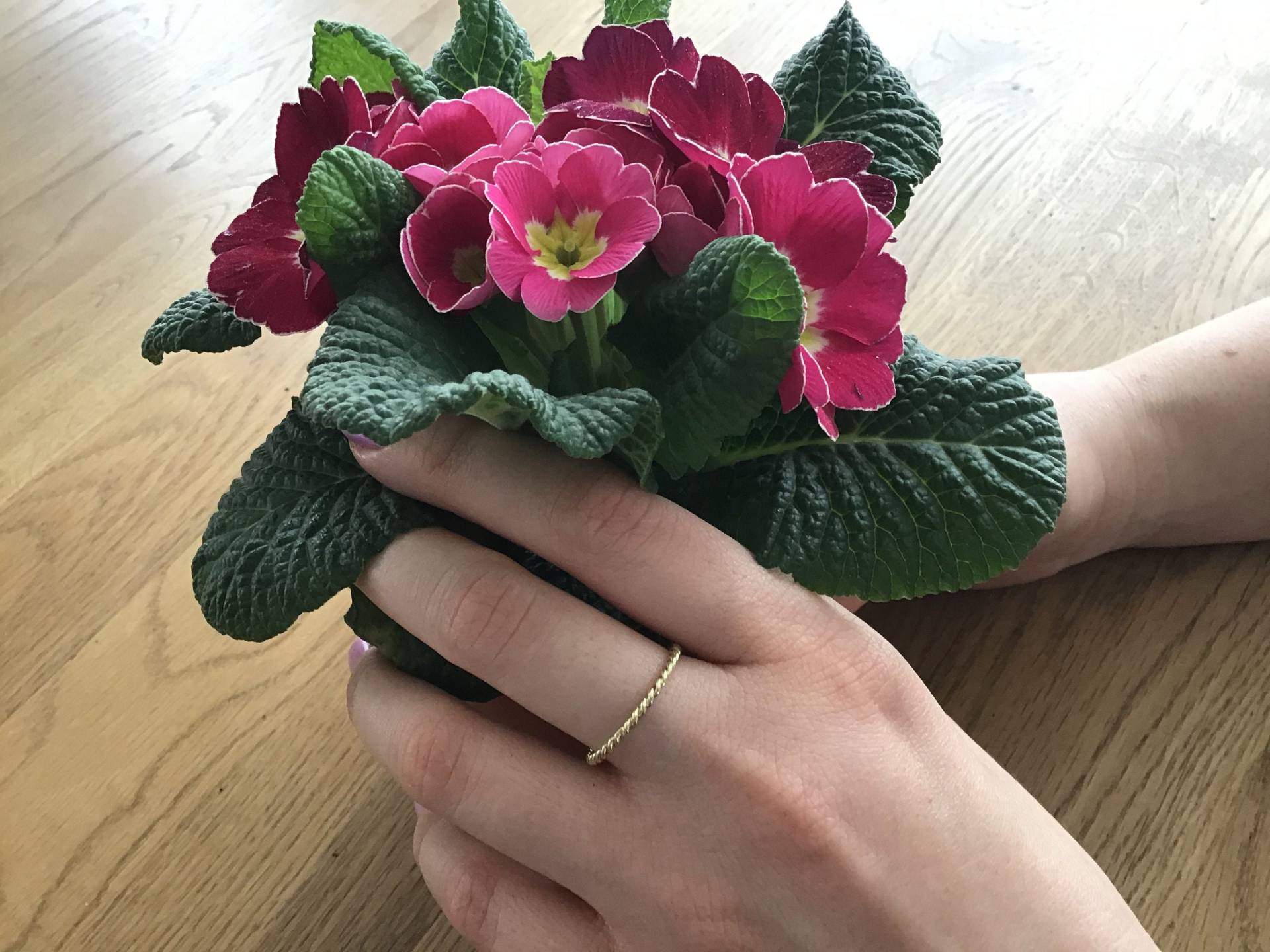 Zierlicher, Gekordelter Ring Aus 585/- Gold. Handarbeit. 280, - Euro Zierlicher, Gekordelter Ring Aus 585/- Gold. Handarbeit. 280, - Euro von KirstenHennDesign