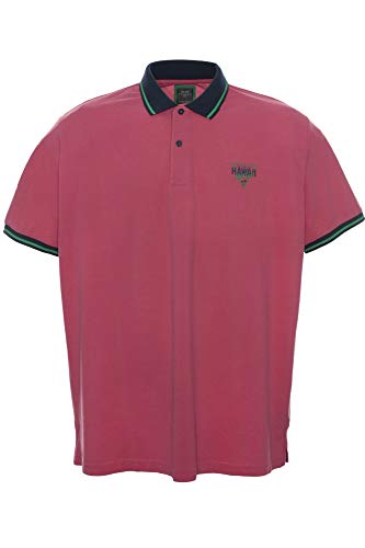 Kitaro Poloshirt Polo Shirt Hemd Herren Kurzarm Baumwolle Piqué Plusgröße, Herrengrößen:3XL, Farbe:pink von Kitaro