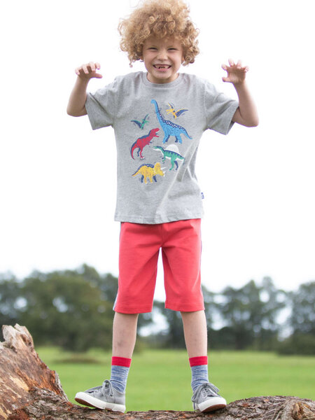 Kite Clothing Kinder T-Shirt Dino-Stomp reine Bio-Baumwolle von Kite Clothing