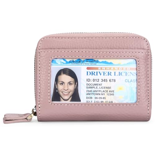 KituT Kreditkarteninhaber-Geldbörse, Doppelreißverschluss-Karten- und Münztasche for Damen, RFID-Anti-Diebstahl-Swipe-Karten-Geldbörse for Damen (Color : Pink) von KituT