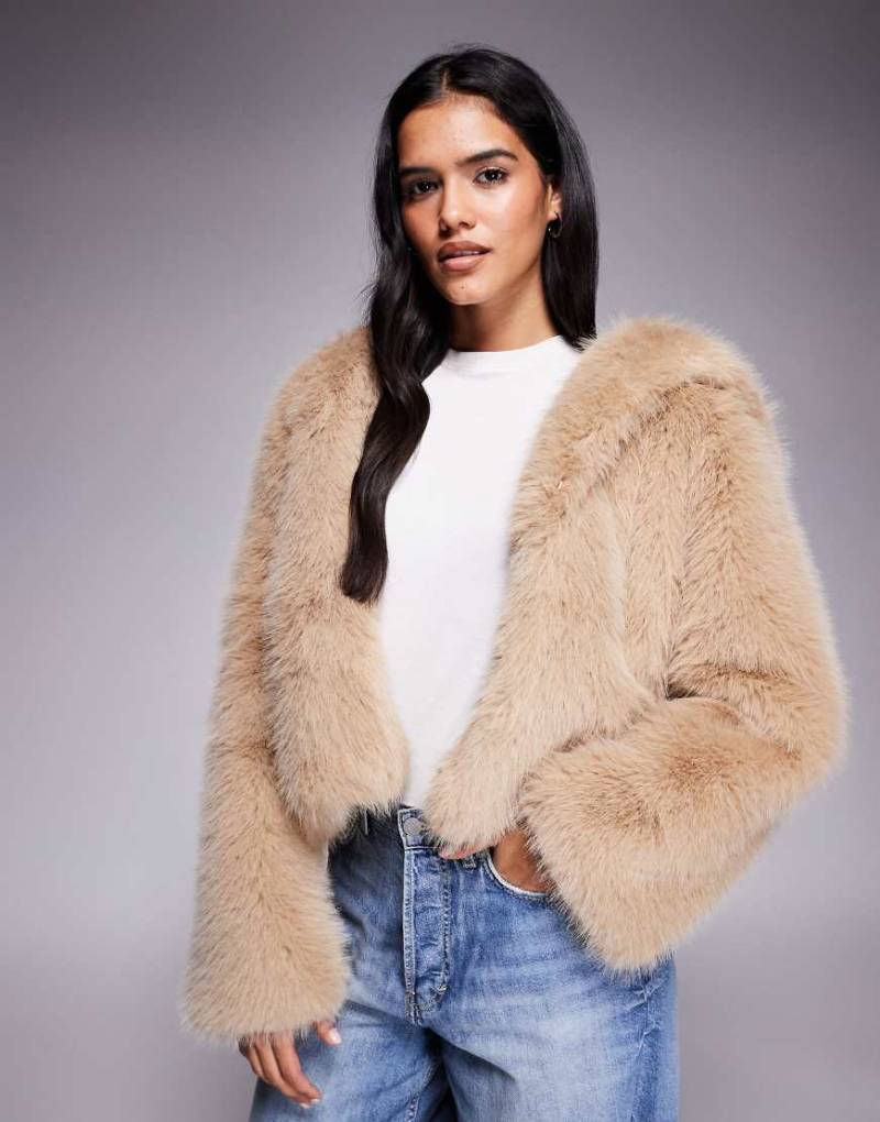 Kiwi & Co - Faye - Cropped-Jacke aus Kunstpelz in Beige mit Kapuze-Neutral von Kiwi & Co