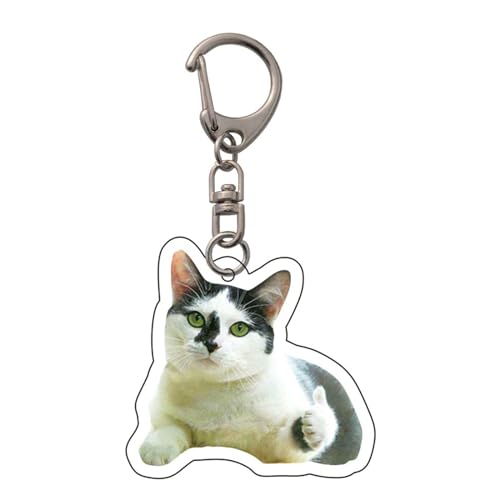Klaisy Eleganer Katzenkopf Schlüsselbund Acryl Schlüsselring Einzigartige Geschenktüte Oramenthandtasche Anhänger Für Freunden Und Familien Acryl Schlüsselhalter von Klaisy