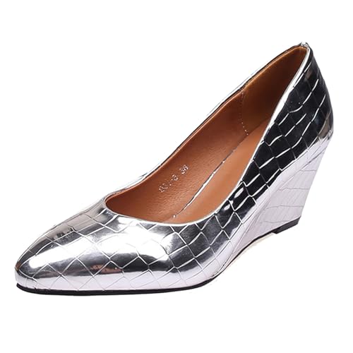 Klarmar Buro Keilabsatz Schuhe Damen Pump Pointed Toe Elegant Arbeit Basic Pump Silber Gr 39 EU/40 von Klarmar