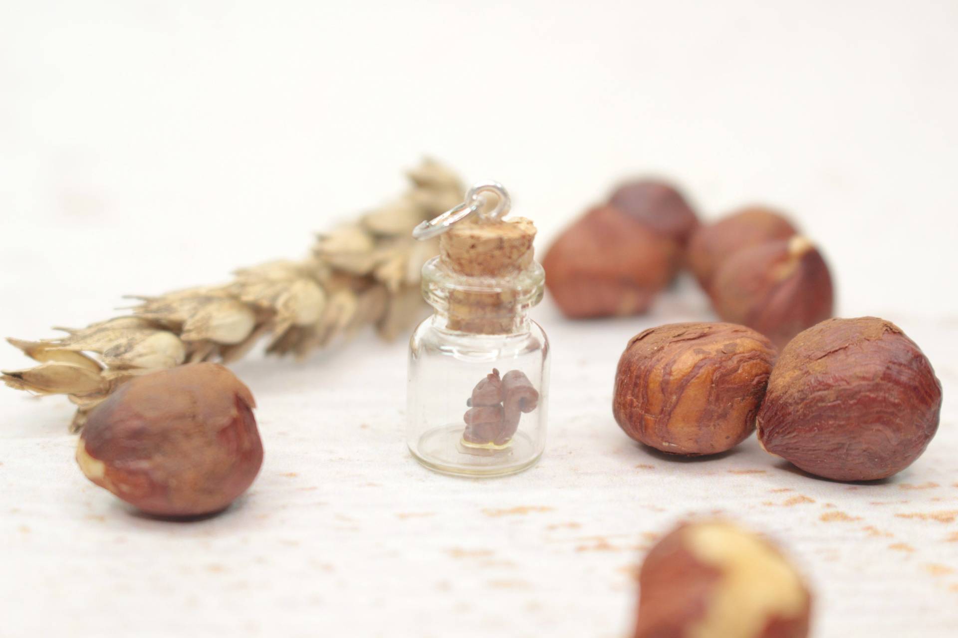 Eichhörnchen Charm, Tier Kettenanhänger, Eichhörnchen Mini Glasflasche, Polymer Clay Miniatur Eichhörnchen Charm, Tier Kettenanhänger, Eichhörnchen Mini Glasflasche, Polymer Clay Miniatur von KleineKnetwelt