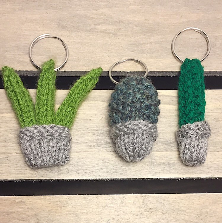 Kaktus Und Sukkulenten Hand Gestrickter Schlüsselanhänger Kaktus Und Sukkulenten Hand Gestrickter Schlüsselanhänger von Knit17UK