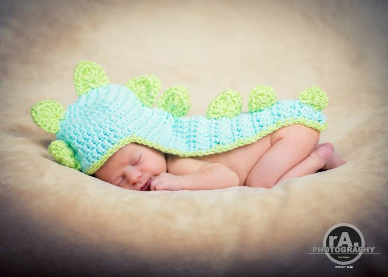 Newborn Baby Dinosaur Crochet Hat With Tail Photo Prop Custom Made To Order von KnitAndCrochetLAND