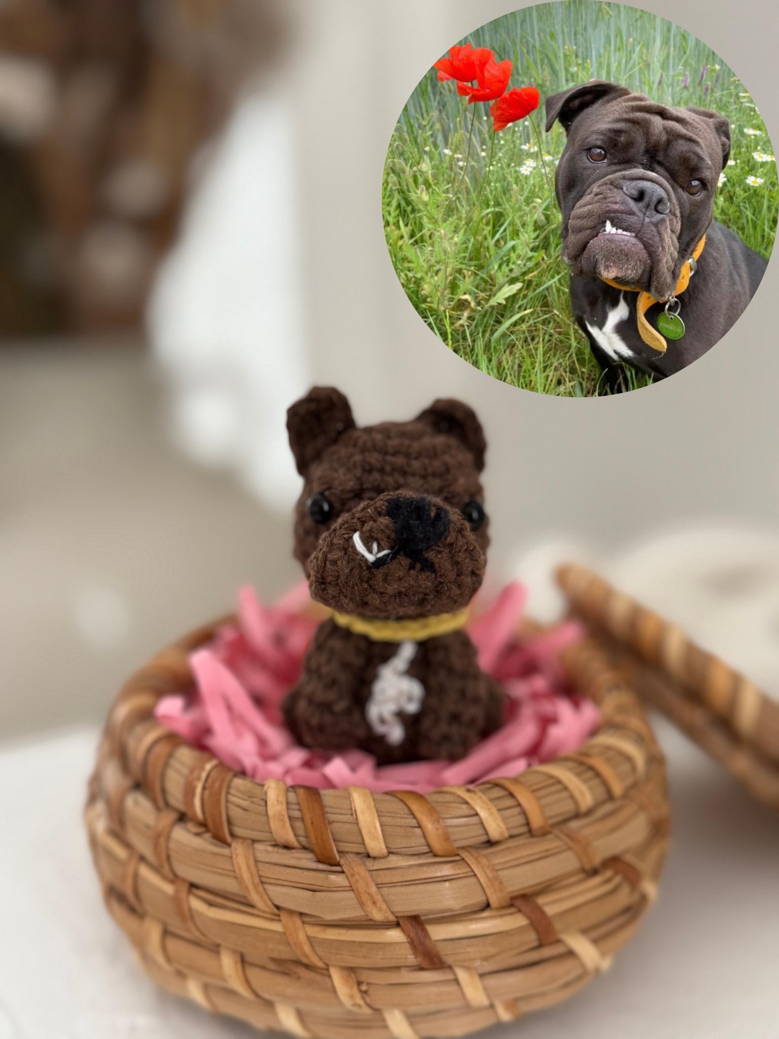 Personalisierter Häkel Schlüsselanhänger - Haustier Oder Mensch Amigurumi Accessoire Customer Crochet Geschenk von Knotacutie