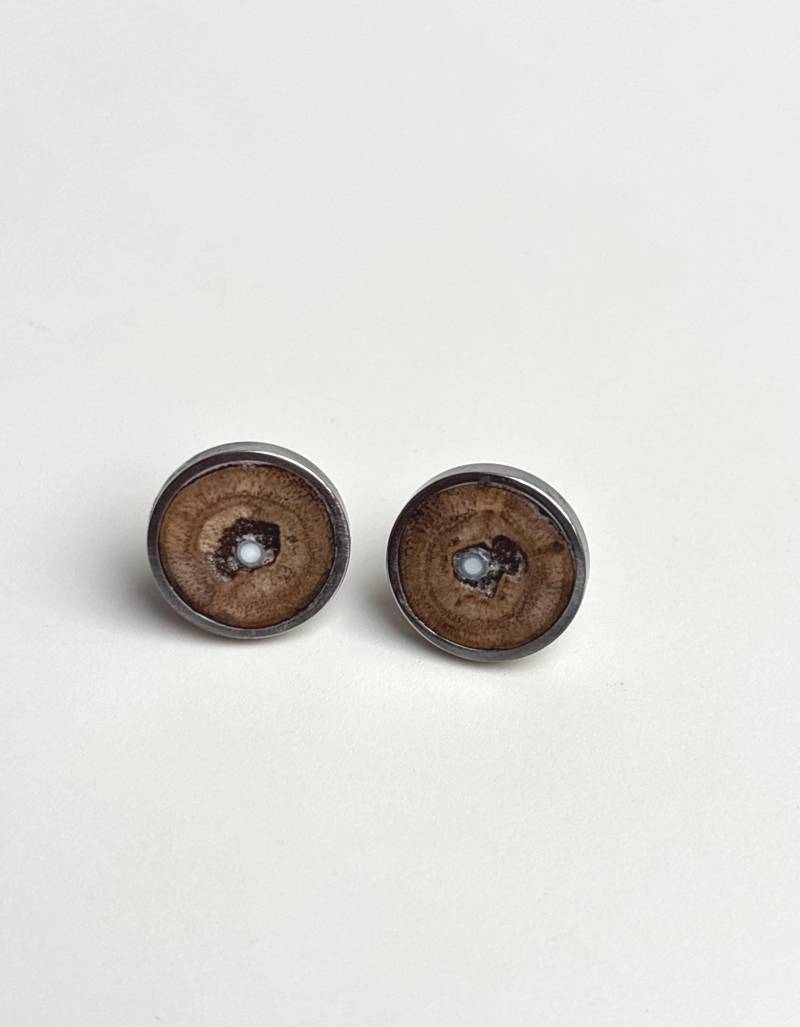 Holzschmuck Ohrstecker Holz Und Perlmutt in Edelstahlfassung Holzschmuck Ohrstecker Holz Und Perlmutt in Edelstahlfassung von Koenigswurzeln