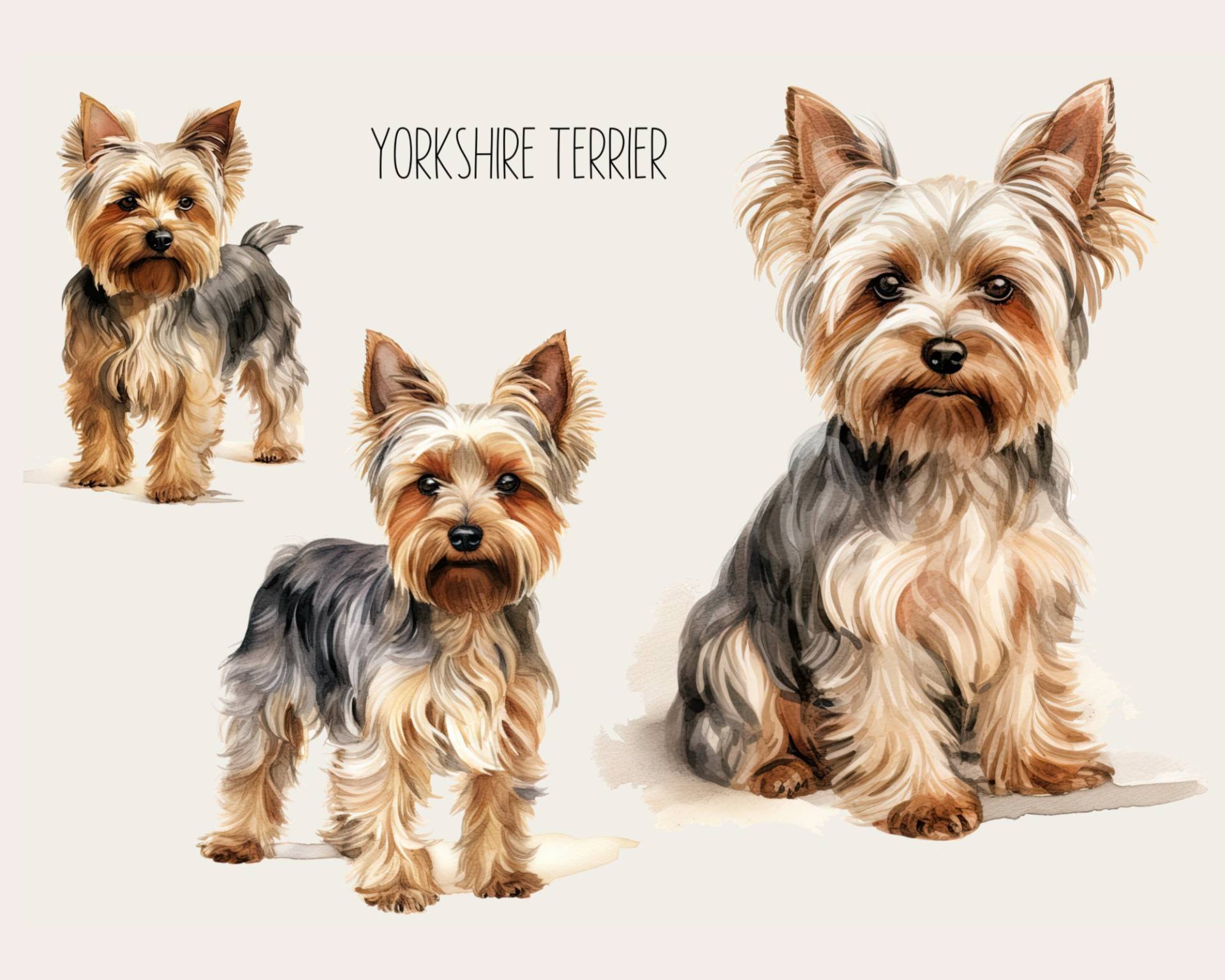 3 Bügelbilder Yorkshire Terrier, Terrier Zum Aufbügeln, Hunderasse Terrier-Portrait Aufbügler, Hund von KokoHello