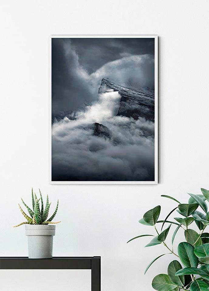 Komar Bild "Arrowhead" Natur 1 Stk. tlg. Wandbild zur Dekoration - ohne Rahmen von Komar