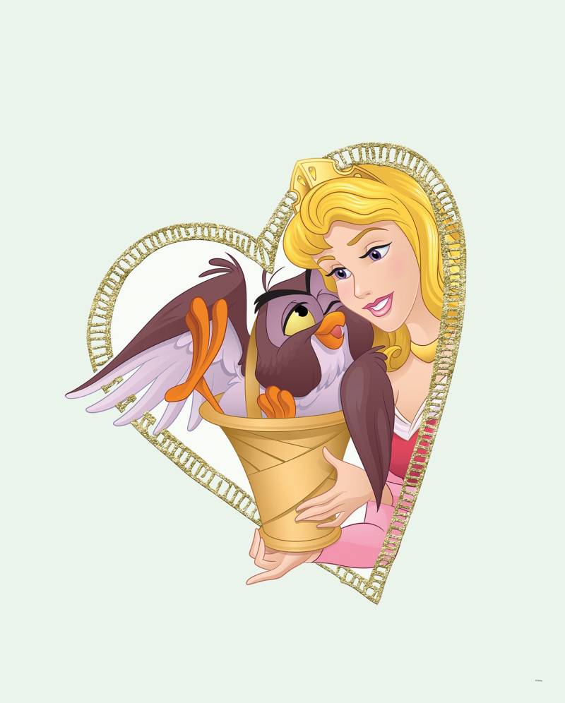 Komar Bild "Aurora & Owl" Disney 1 Stk. tlg. Wandbild zur Dekoration im Kinderzimmer - ohne Rahmen von Komar