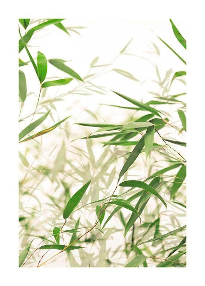 Komar Bild "Bamboo Leaves" Blätter  Pflanzen 1 Stk. tlg. Wandbild zur Dekoration - ohne Rahmen von Komar