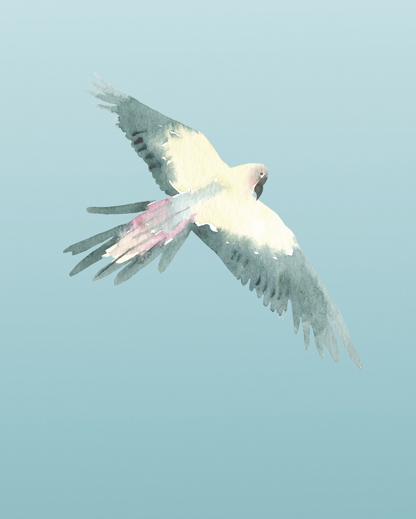 Komar Bild "Ciel" Natur 1 Stk. tlg. Wandbild zur Dekoration - ohne Rahmen von Komar