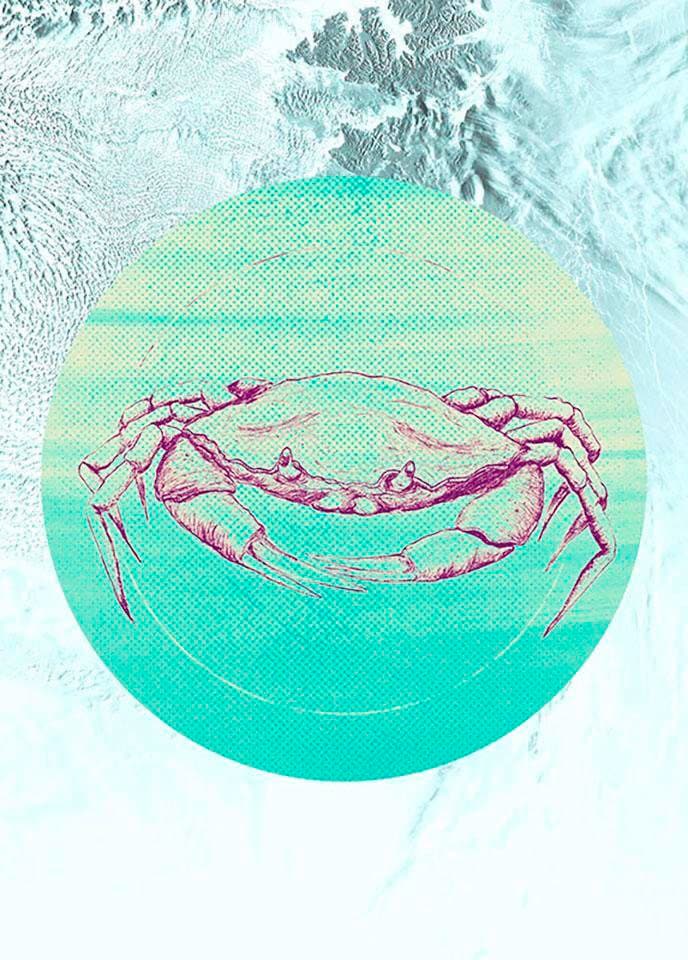 Komar Bild "Crab Sea" Tiere 1 Stk. tlg. Wandbild zur Dekoration - ohne Rahmen von Komar