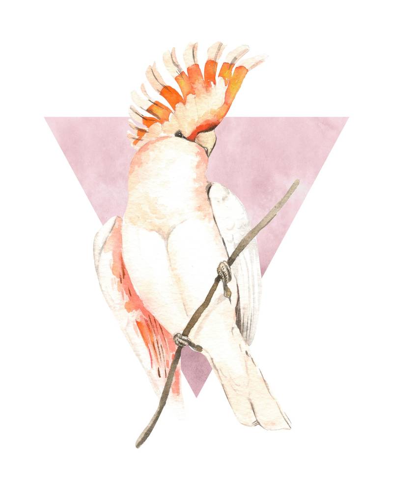 Komar Bild "Cute Cacadoo" Natur 1 Stk. tlg. Wandbild zur Dekoration - ohne Rahmen von Komar