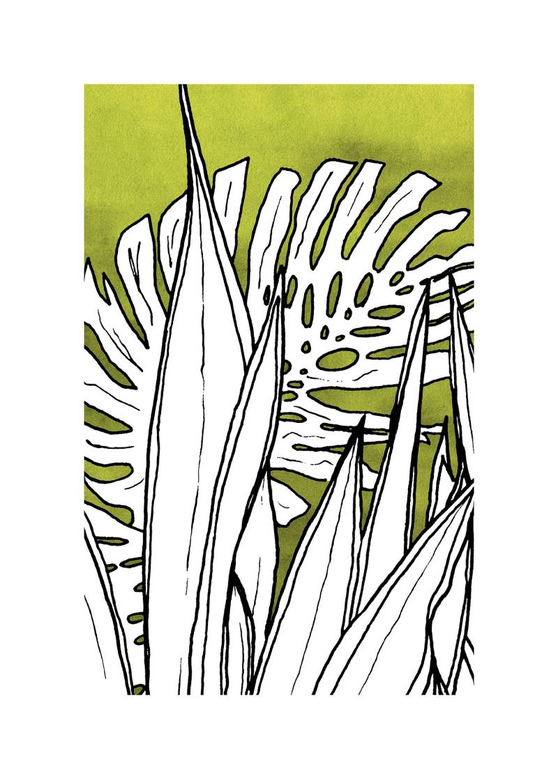 Komar Bild "Dried Leaves" Natur 1 Stk. tlg. Wandbild zur Dekoration - ohne Rahmen von Komar