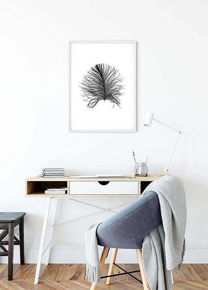 Komar Bild "Feather White" Federn 1 Stk. tlg. Wandbild zur Dekoration - ohne Rahmen von Komar