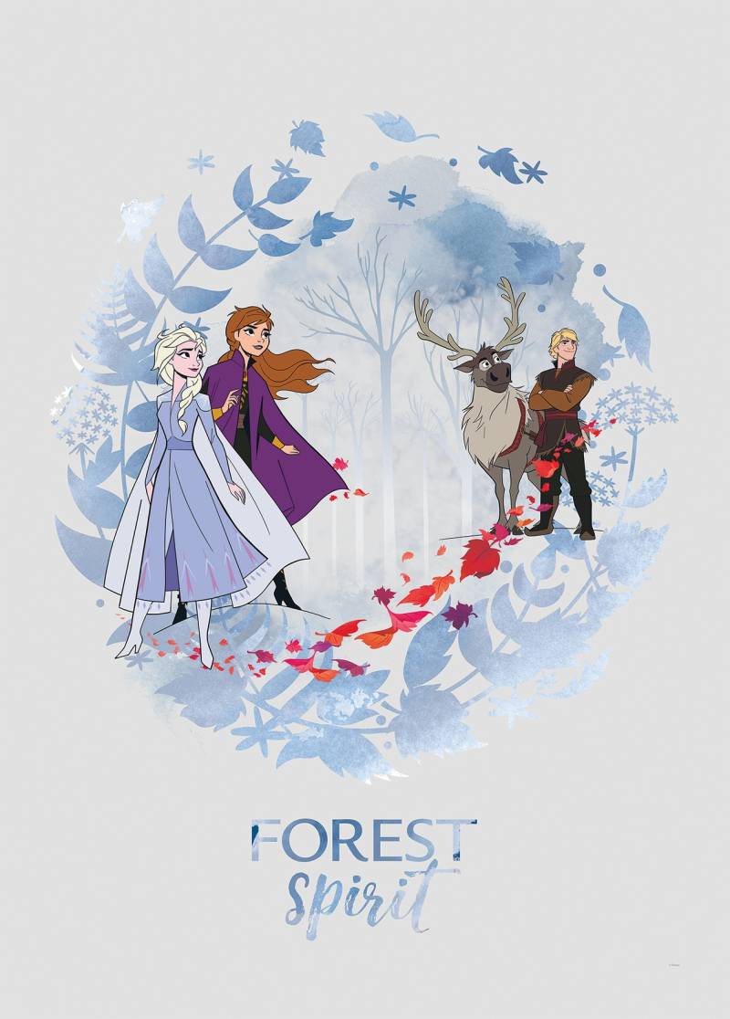 Komar Bild "Frozen Spirit" Disney 1 Stk. tlg. Wandbild zur Dekoration im Kinderzimmer - ohne Rahmen von Komar