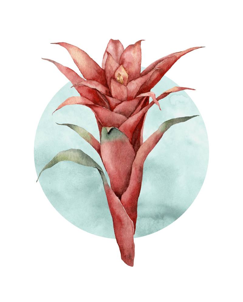 Komar Bild "Funky Flower" Natur 1 Stk. tlg. Wandbild zur Dekoration - ohne Rahmen von Komar