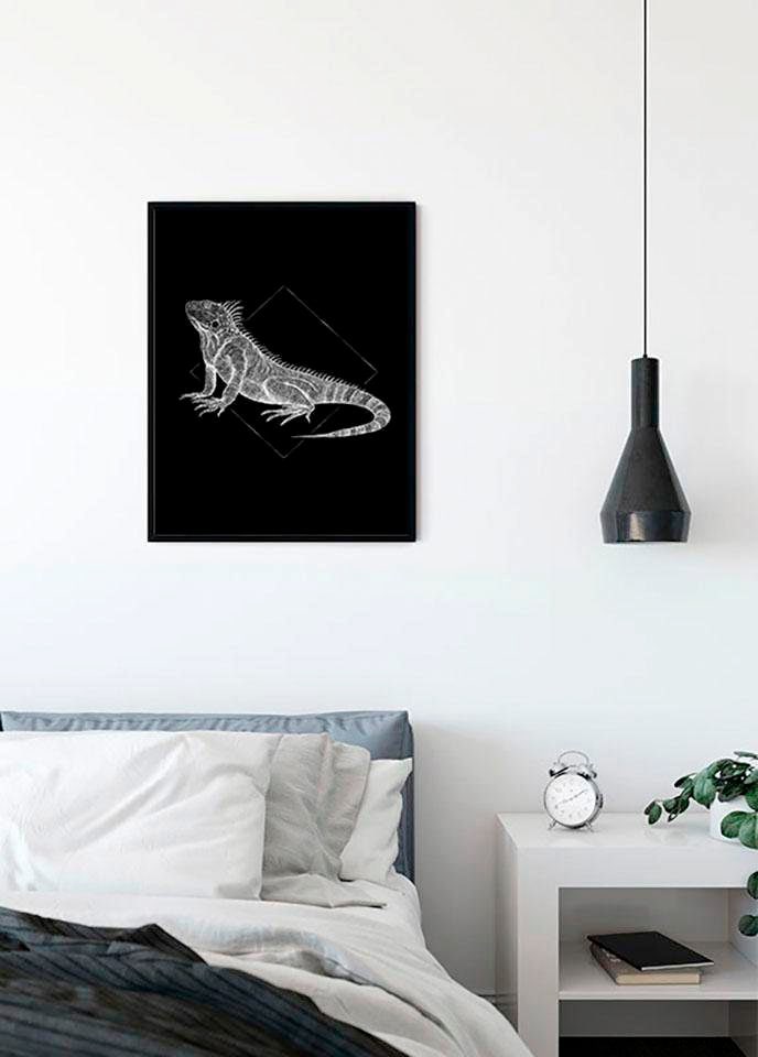 Komar Bild "Iguana Black" Tiere 1 Stk. tlg. Wandbild zur Dekoration - ohne Rahmen von Komar