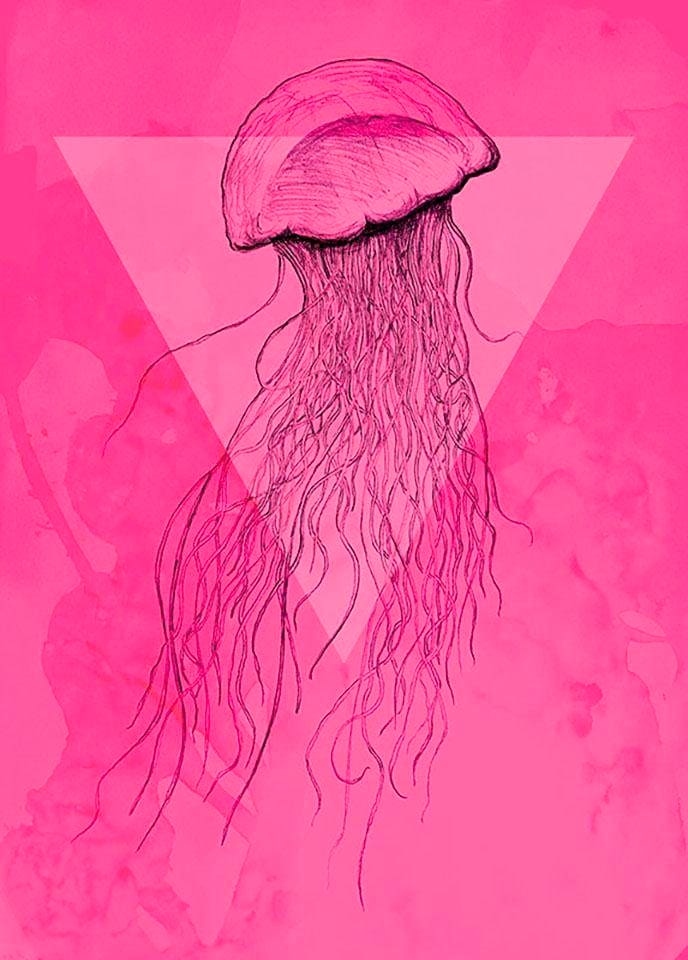 Komar Bild "Jellyfish Pink" Tiere 1 Stk. tlg. Wandbild zur Dekoration - ohne Rahmen von Komar