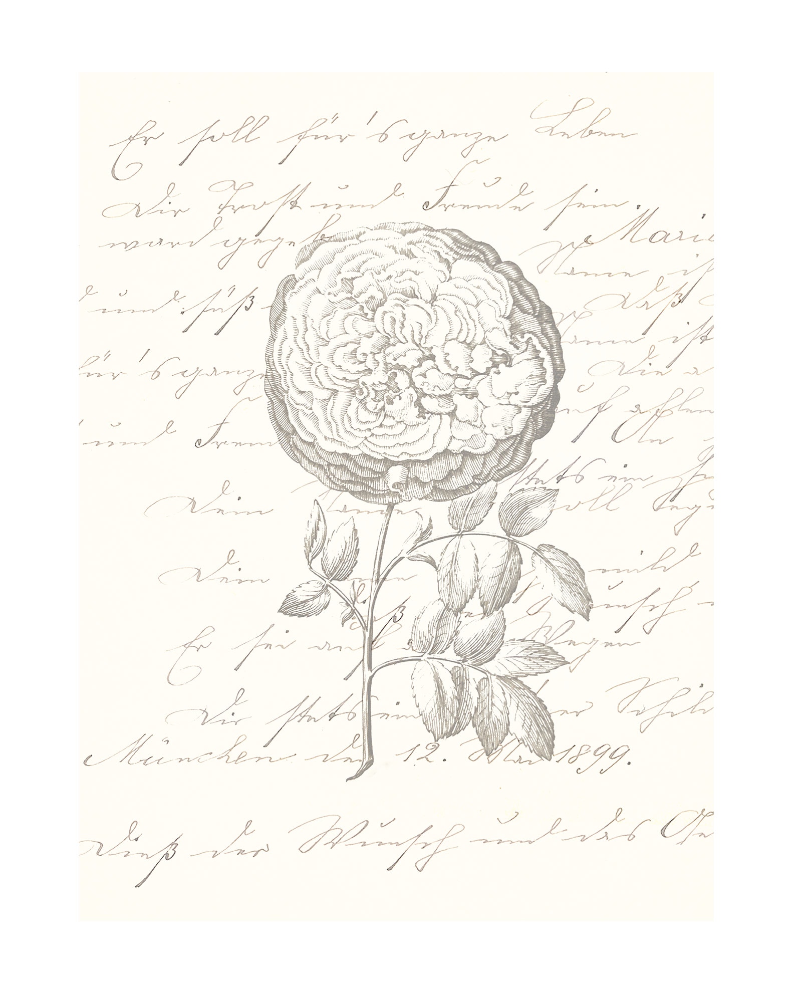 Komar Bild "Ma Chérie" Natur 1 Stk. tlg. Wandbild zur Dekoration - ohne Rahmen von Komar