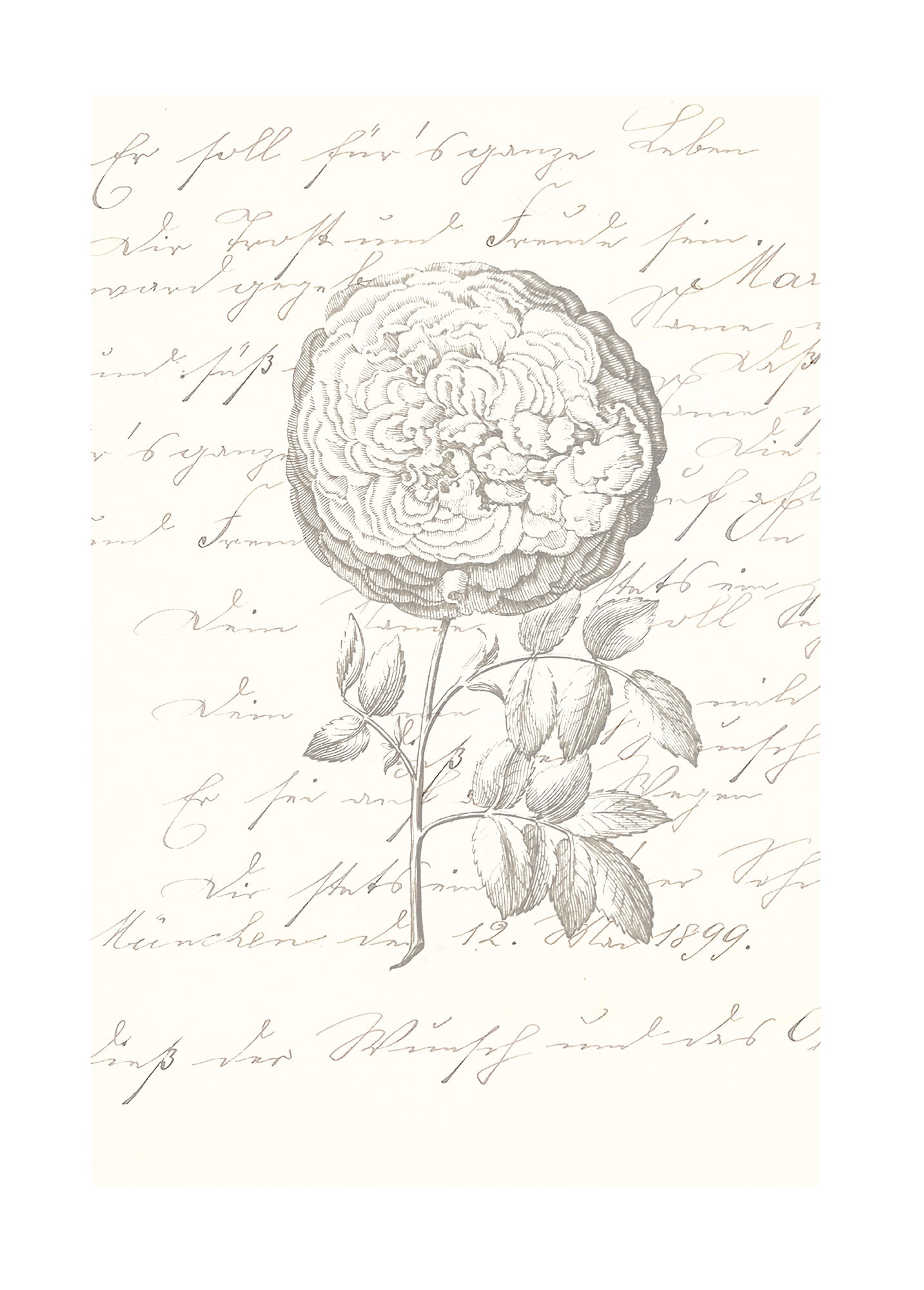 Komar Bild "Ma Chérie" Natur 1 Stk. tlg. Wandbild zur Dekoration - ohne Rahmen von Komar