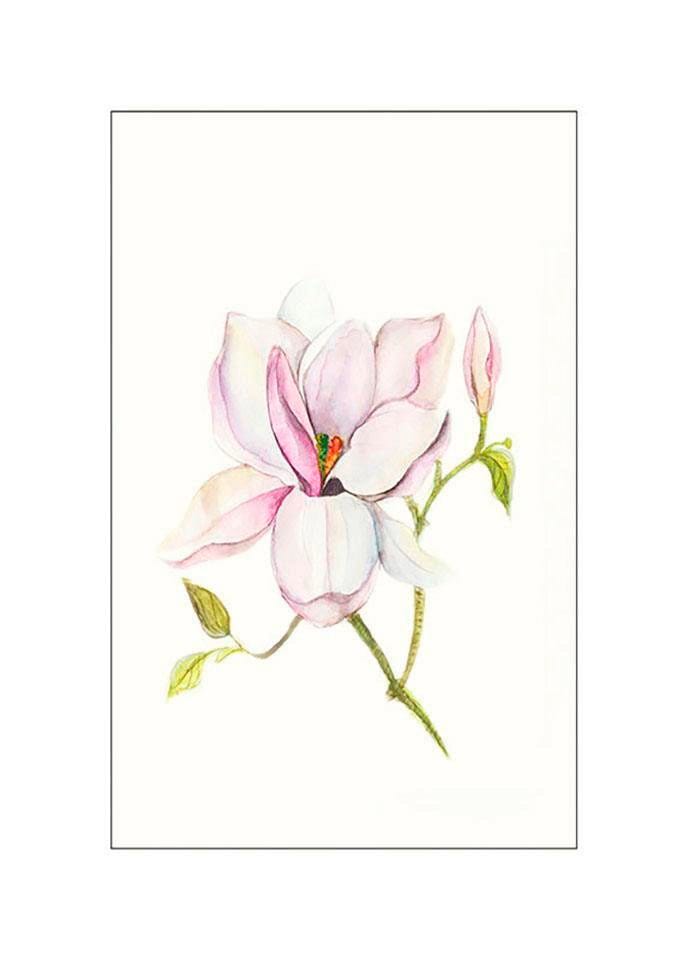 Komar Bild "Magnolia Shine" Blumen 1 Stk. tlg. Wandbild zur Dekoration - ohne Rahmen von Komar