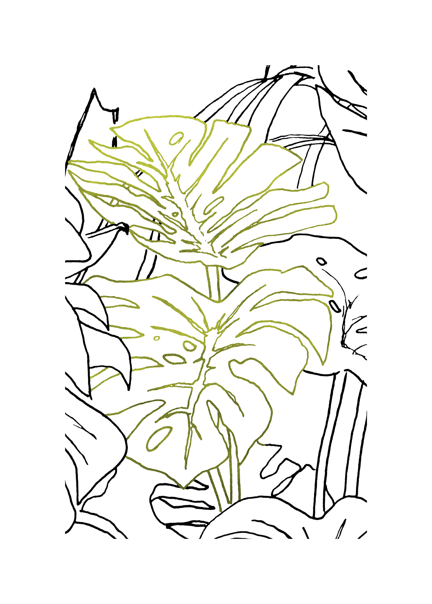 Komar Bild "Monstera Borsigiana" Natur 1 Stk. tlg. Wandbild zur Dekoration - ohne Rahmen von Komar