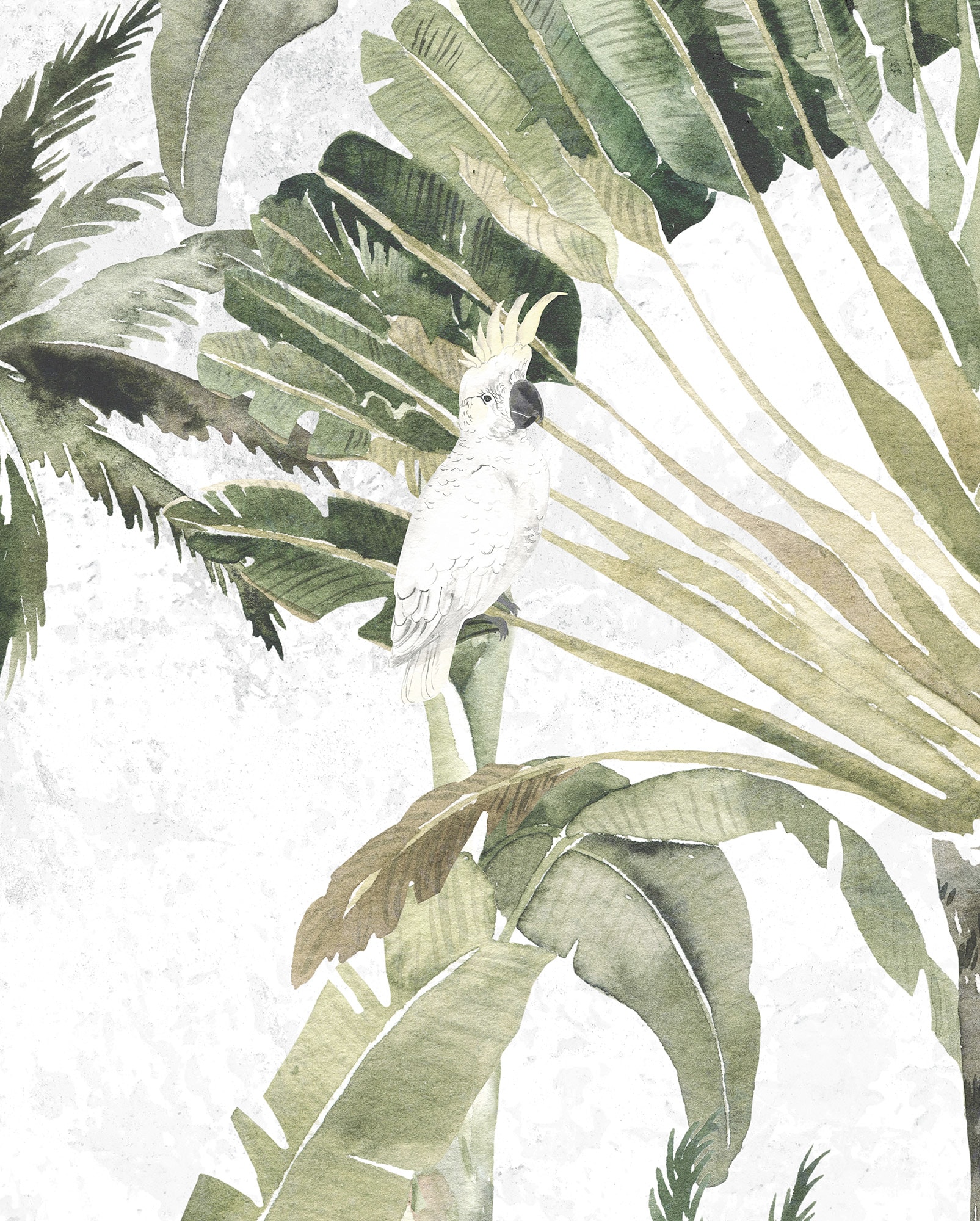 Komar Bild "Oiseau Cacadoo" Natur 1 Stk. tlg. Wandbild zur Dekoration - ohne Rahmen von Komar