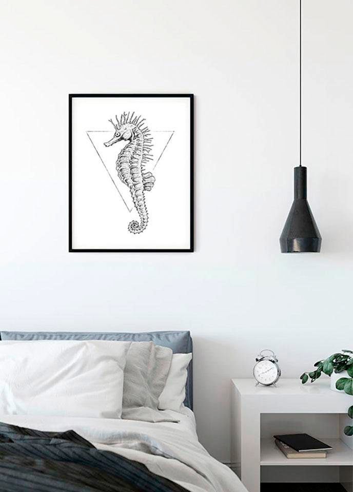 Komar Bild "Sea Horse White" Tiere 1 Stk. tlg. Wandbild zur Dekoration - ohne Rahmen von Komar